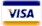 Visa payment icon
